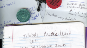 The tragic consequences of PA's failed mental health system