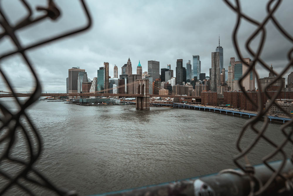 Addressing the Twofold Mental Health Crisis in New York City