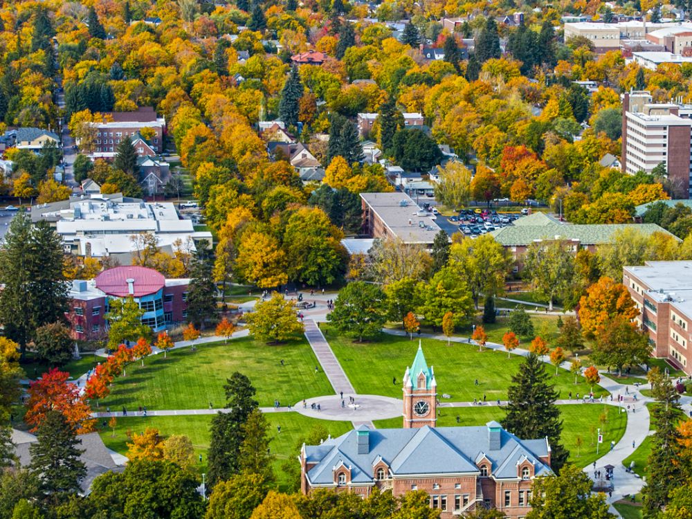 UM Awarded $1.2M Grant to Launch Rural Youth Behavioral Health Career Pathways