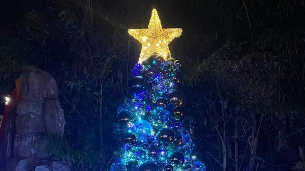 Maxwell: Christmas is a magical time, yet also dark, lonely for many. You can help