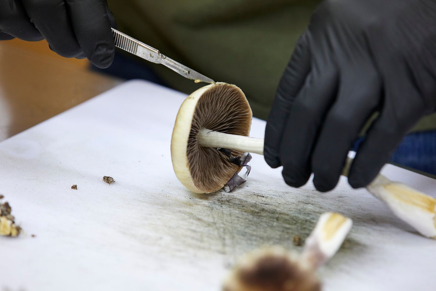 5 questions about the FDA's fast-track push for psychedelic treatments