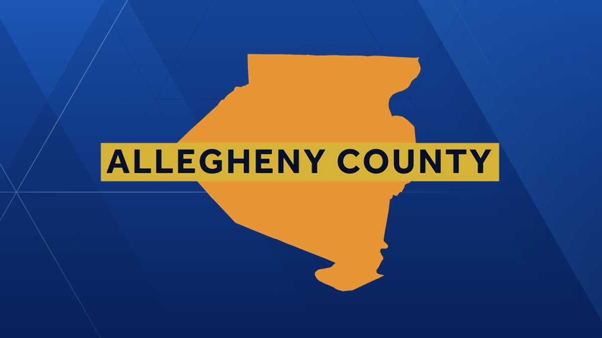 Allegheny County to implement involuntary outpatient mental health care services