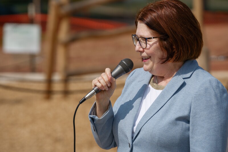 As lawmakers debate anti-fraud measures, Rep. Tina Liebling proposes removing insurers from state health programs