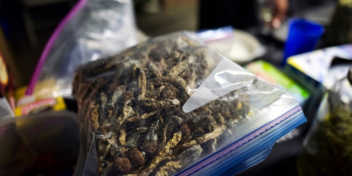 Bill to create psychedelic therapy program in Louisiana passes unanimously, heads to governor