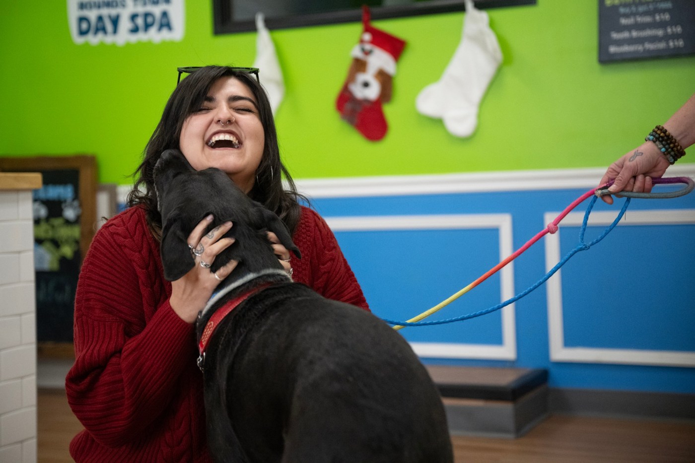Colorado program finds foster care for people’s pets as they recover from addiction, abuse, mental health issues