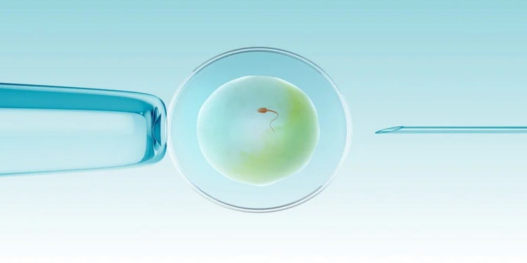 Florida couple involved in embryo mix-up during IVF. What is IVF?