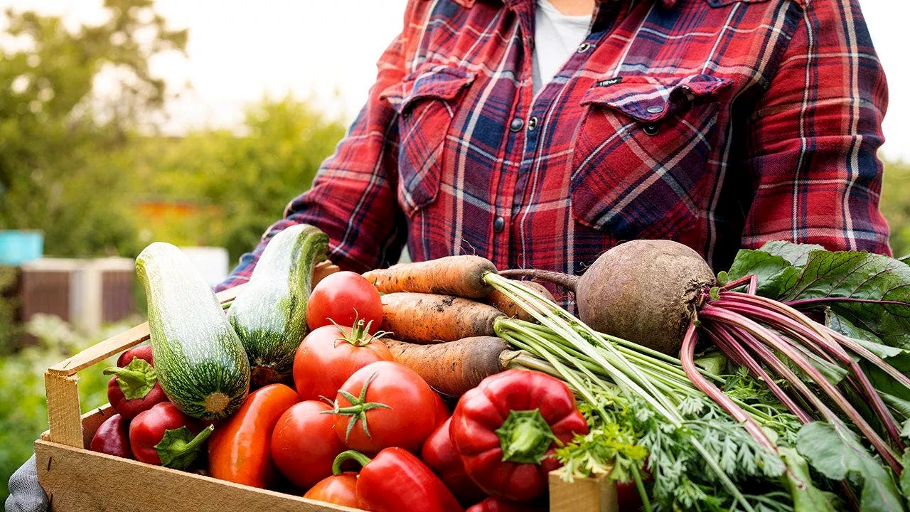 Followers of Bible-based diet say scripture-guided eating transformed their health