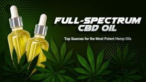 Full-Spectrum CBD Oil: Top Sources for the Most Potent Hemp Oils