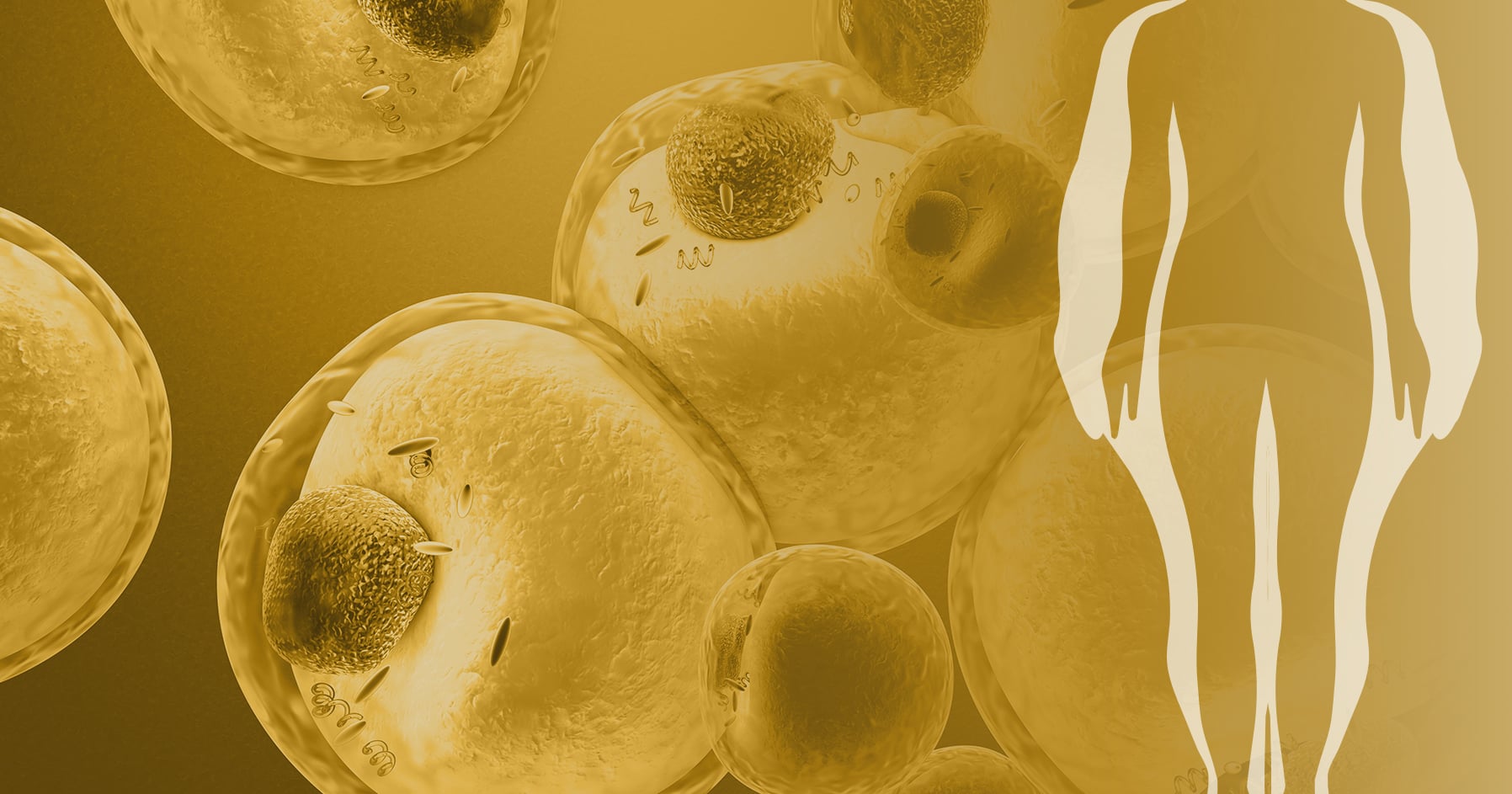 GLP-1s show promise in treating alcohol and drug addiction