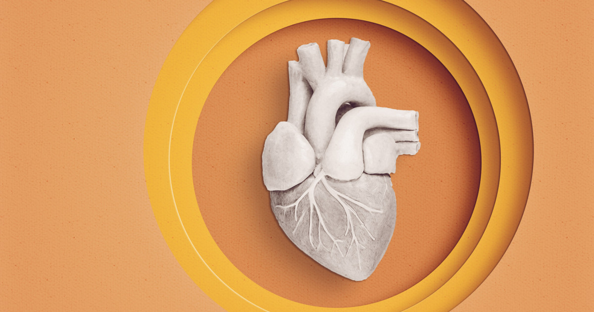 Heart disease risk may start in the womb