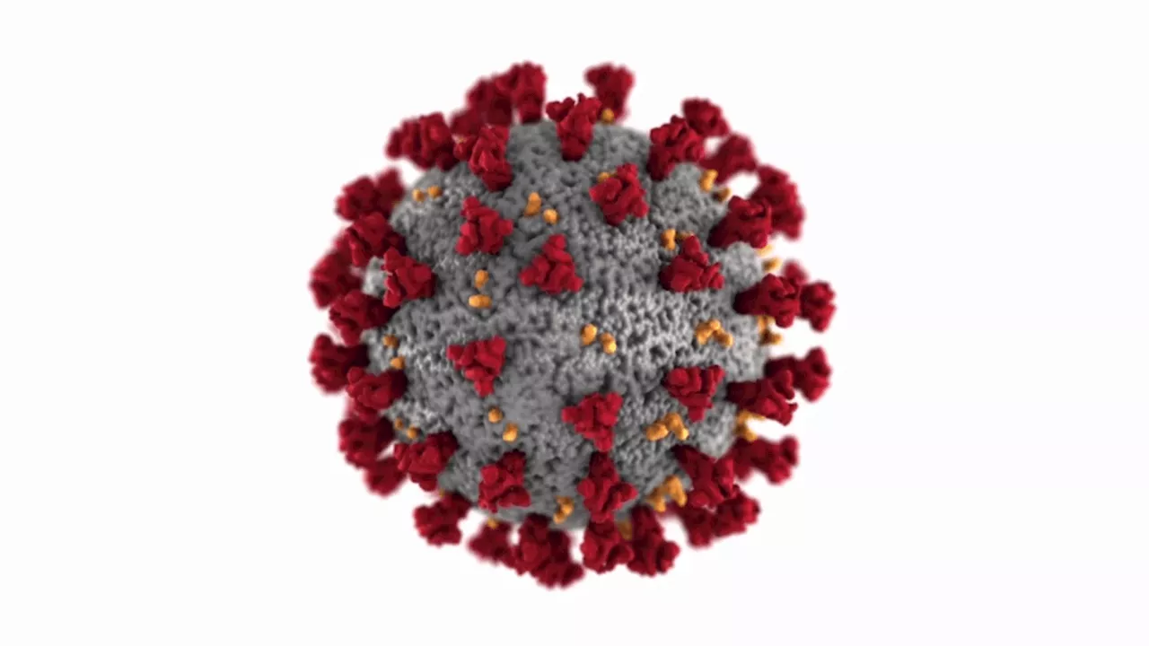 Latest Coronavirus Updates: Scripps Health Predicts End of Hospitalization Surge in Early March
