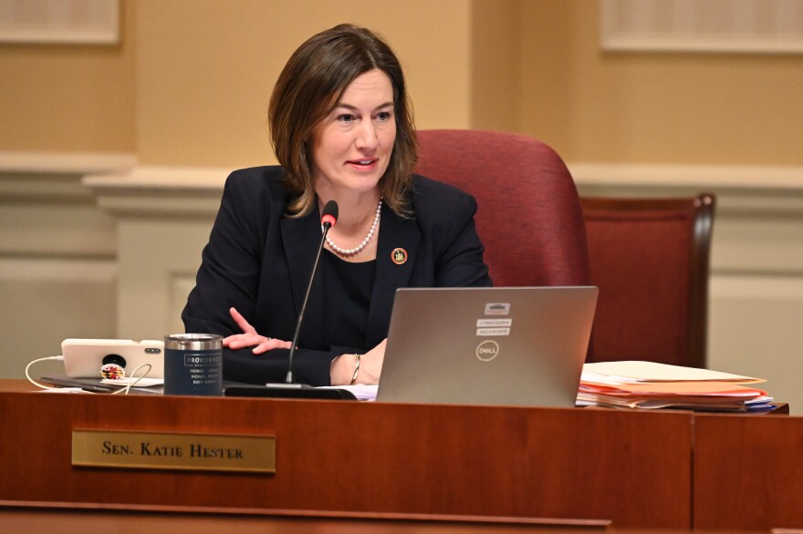Lawmakers, advocates push Maryland General Assembly for more mental health funding