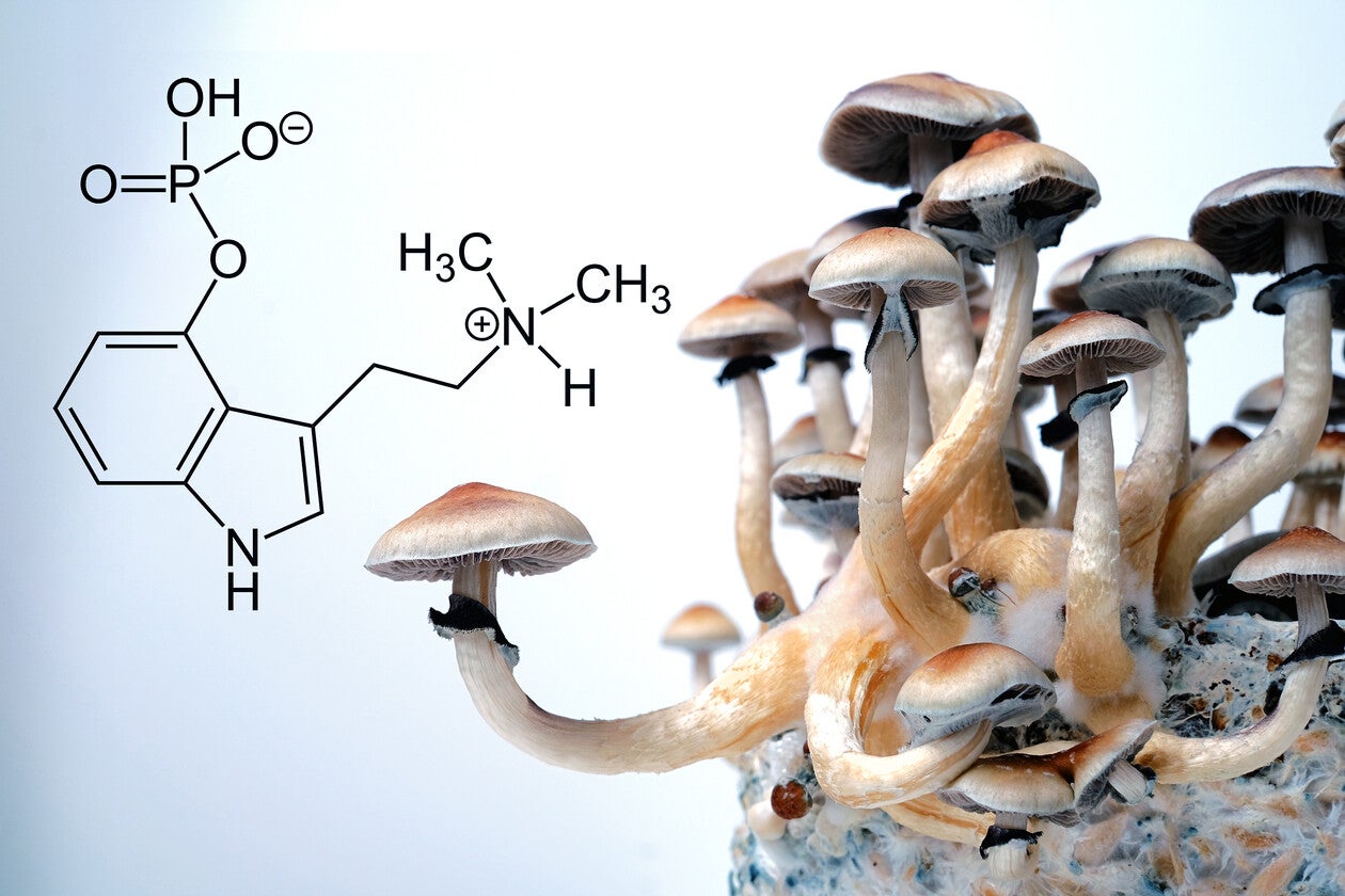 Psilocybin: A breakthrough in mental health treatment or mere ‘magical’ thinking?