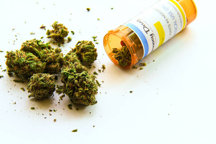 Report shows strong use of isle medical cannabis program