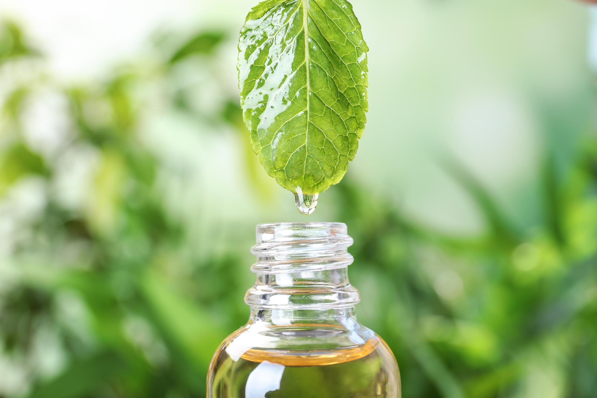 Scientists Discover Cheap, Natural Remedy for High Blood Pressure