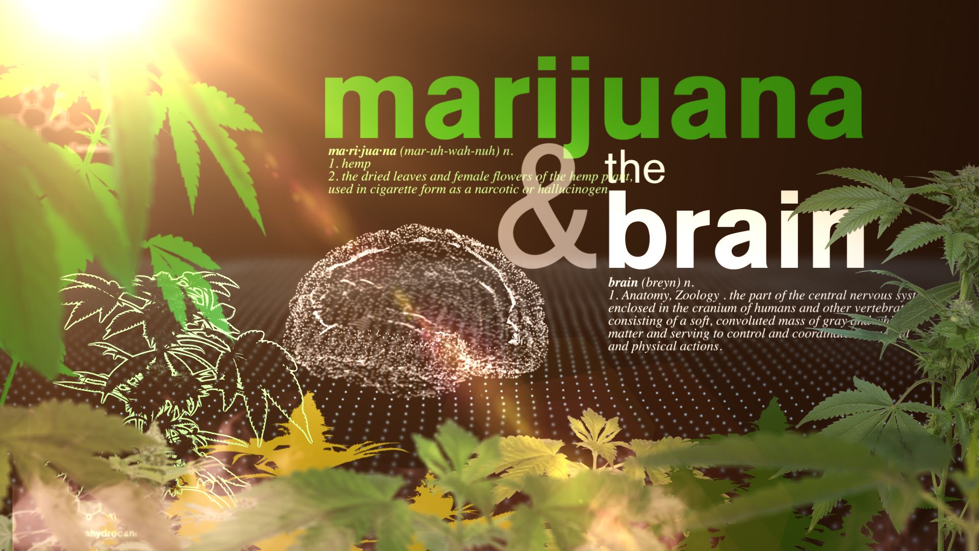 Scientists say marijuana doesn’t ease anxiety or other mental health conditions