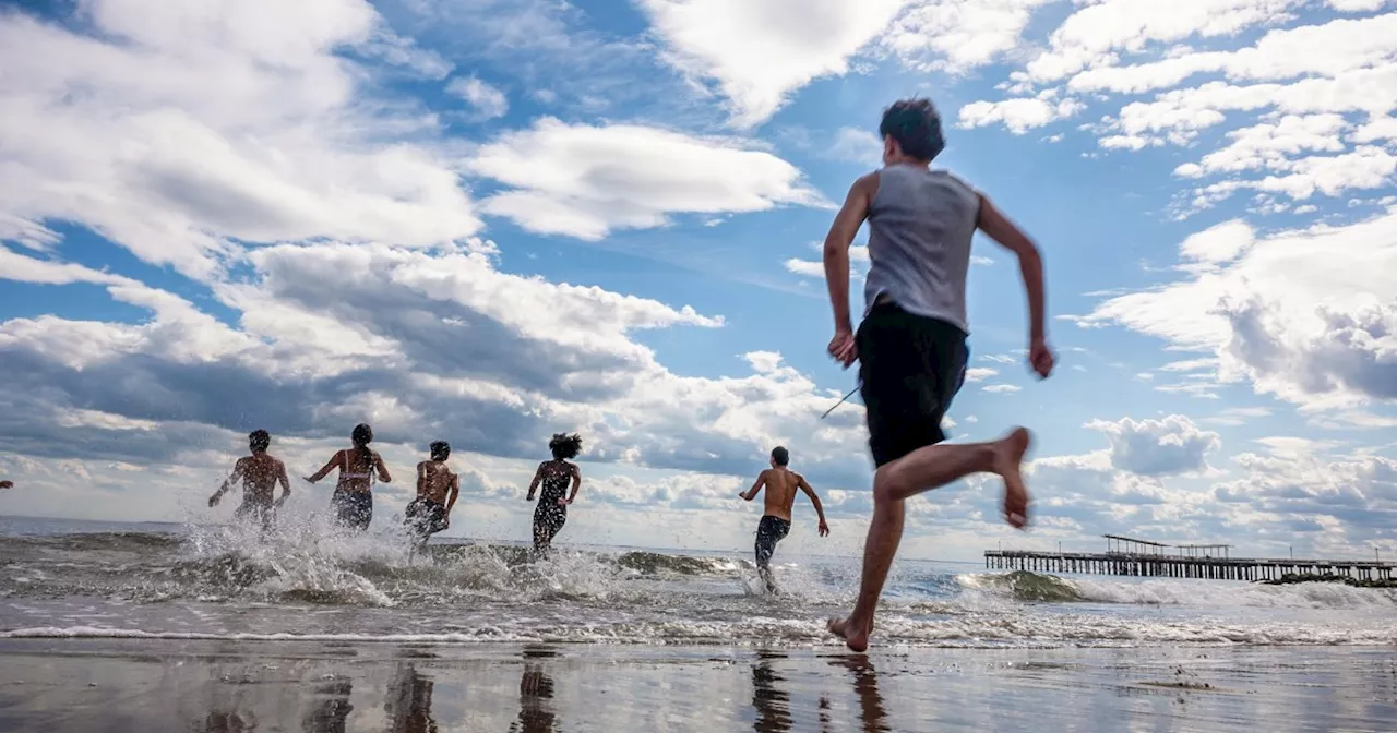 Simple Lifestyle Changes: Exercise, Sleep, and Activity for a Healthier Brain