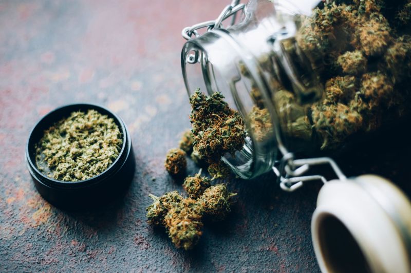 The marijuana of my youth is long gone. I wish someone had told me