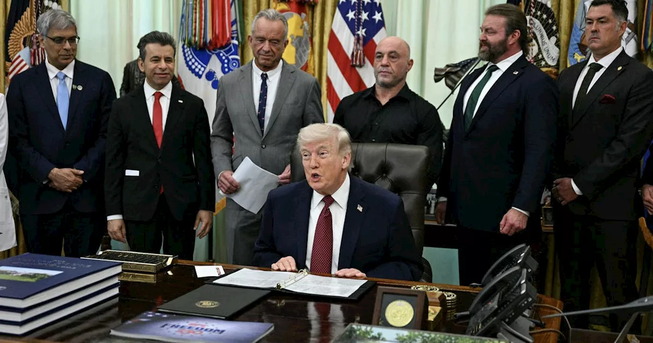 Trump Administration Accelerates Psychedelic Research for Mental Health Treatments