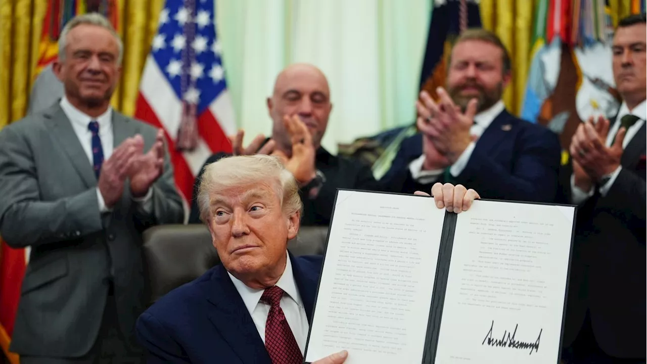 Trump Administration Accelerates Review of Psychedelic Therapies for Veterans