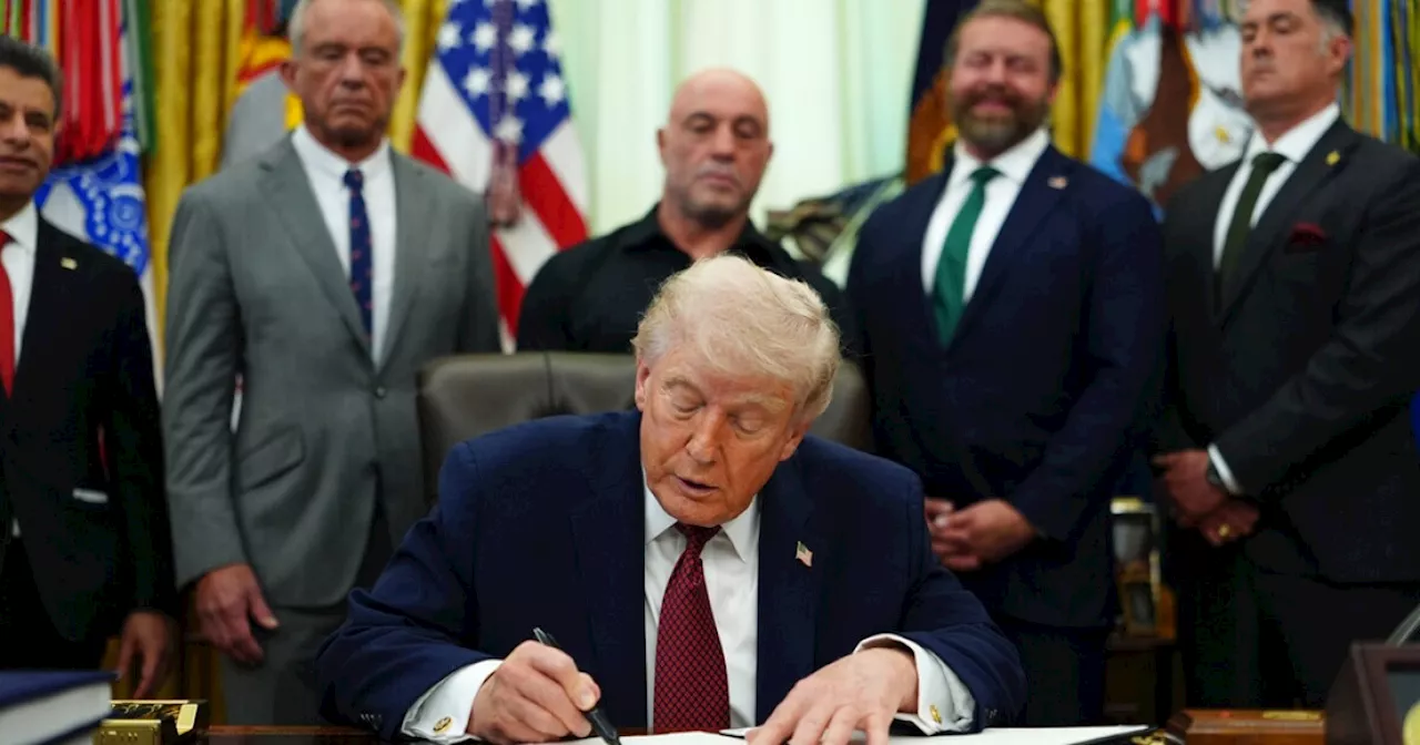 Trump orders $50M research into psychedelic drugs, including ibogaine, for PTSD, TBI