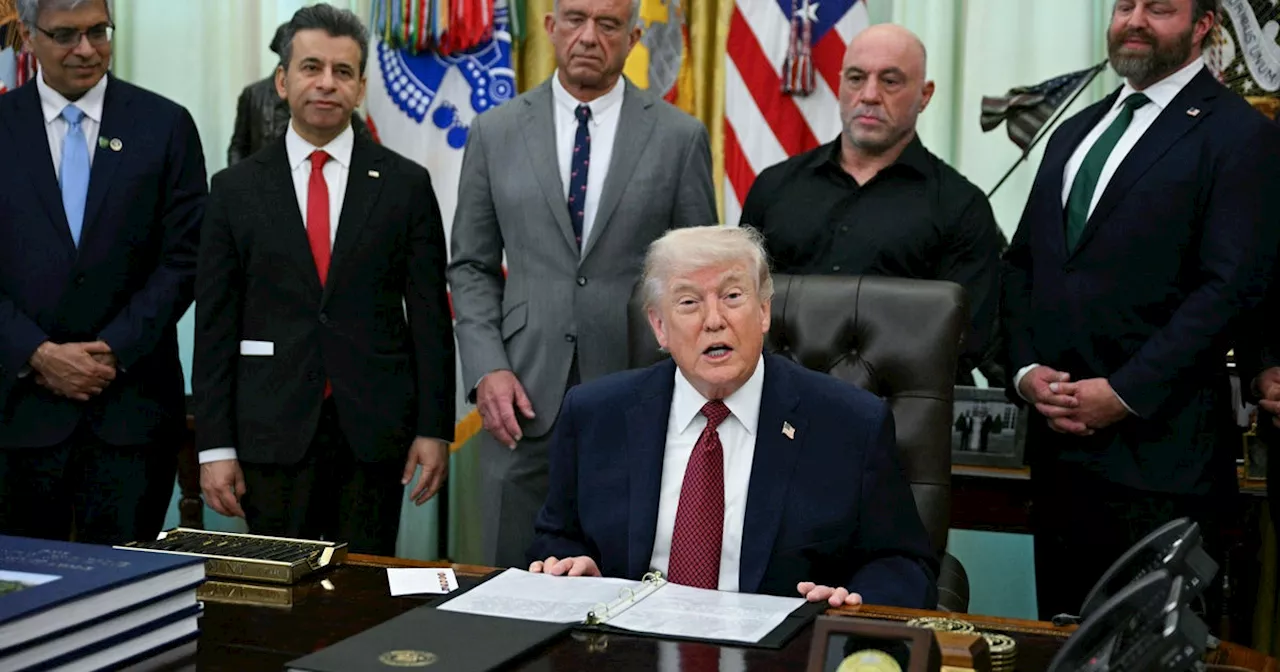 Trump signs executive order to research psychedelics, including ibogaine, for mental health treatment