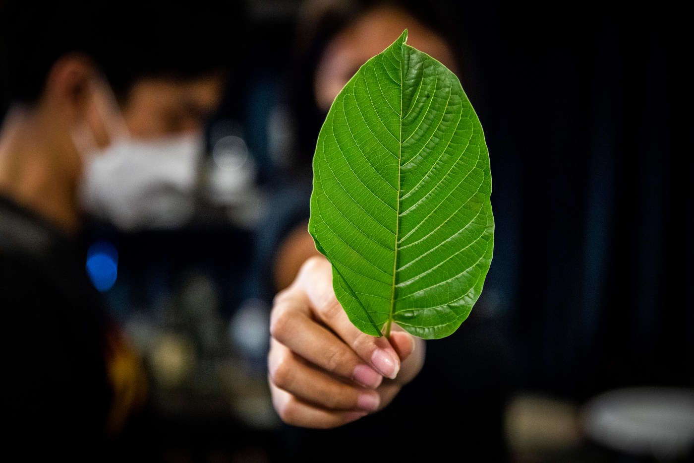 What parents need to know about kratom