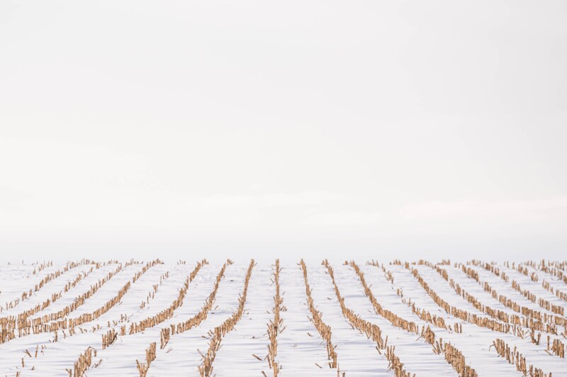 When the quiet season doesn’t feel quiet