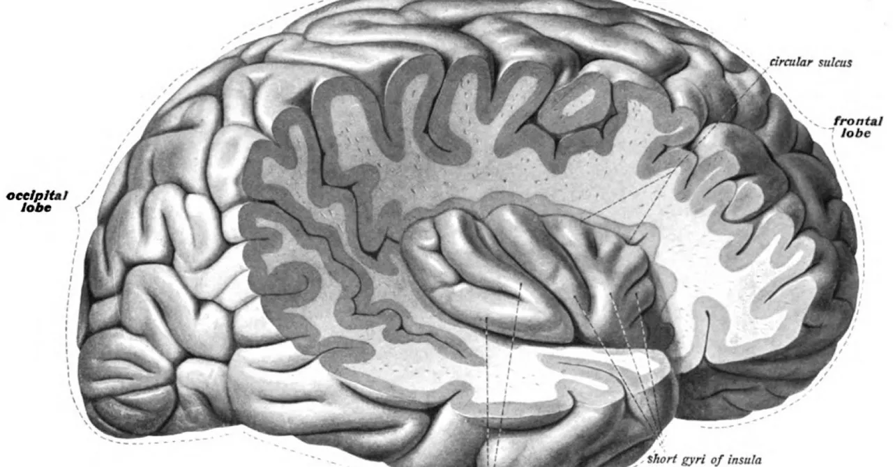 Why psychiatry seeks disease explanations for mental disorders.