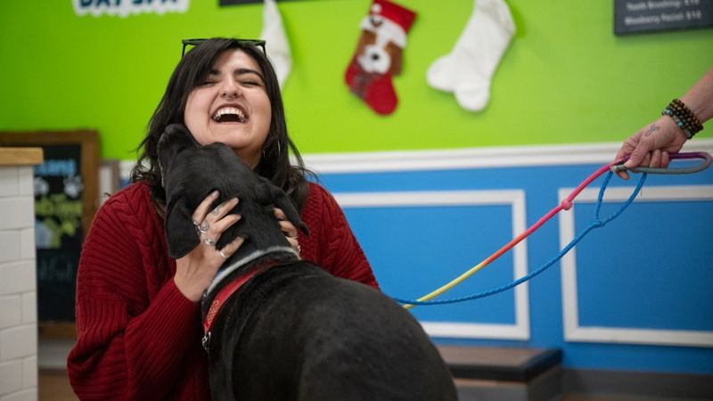 Colorado program finds foster care for people’s pets as they recover from addiction, abuse, mental health issues