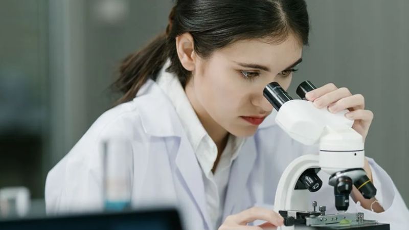 The Year in Research