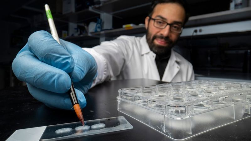 ‘Memory manipulation is inevitable’: How rewriting memory in the lab might one day heal humans