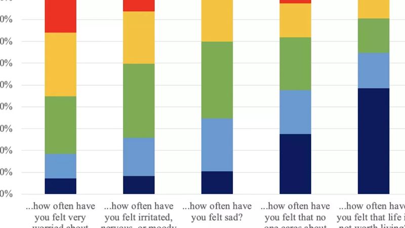 Examining the link between peer victimization and depression in Brazilian youth.