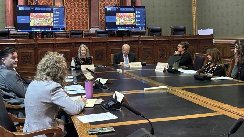 'A huge gap between the treatment': Iowa lawmakers hope to address mental health care rift