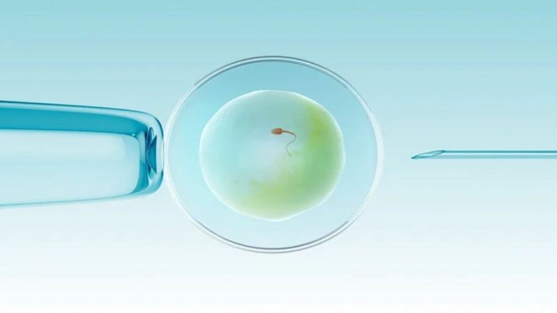 Florida couple involved in embryo mix-up during IVF. What is IVF?