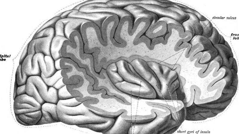 Why psychiatry seeks disease explanations for mental disorders.