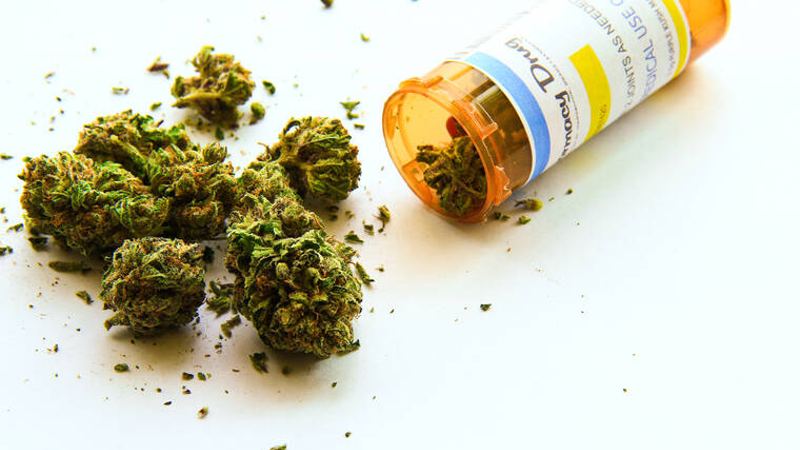 Report shows strong use of isle medical cannabis program