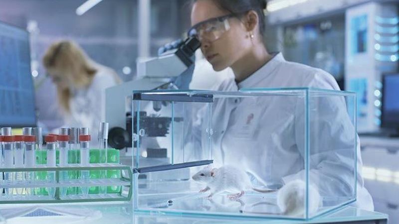CCHR: Billions of Dollars Wasted on Mental Health Research with Worsening Outcomes