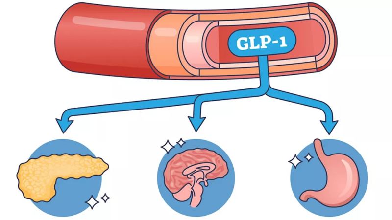 GLP-1 medications targeting the brain or gut may improve treatment of addictions.