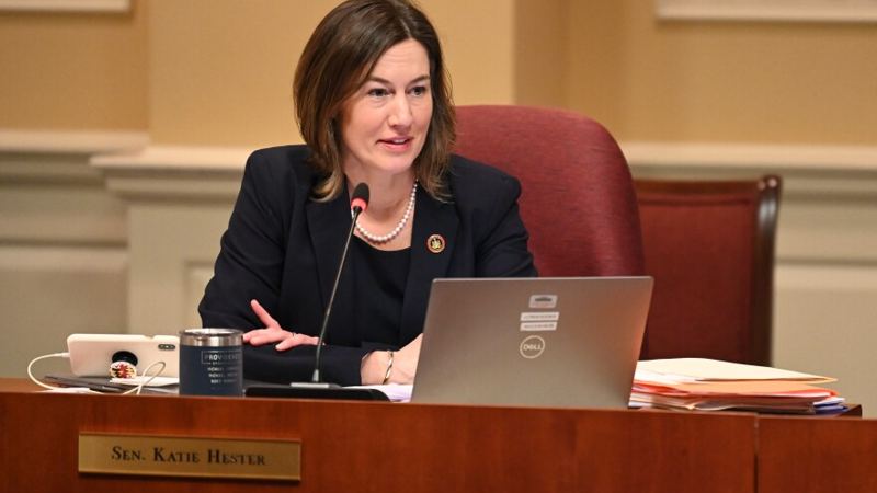 Lawmakers, advocates push Maryland General Assembly for more mental health funding