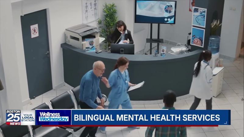 Wellness Wednesday: Language barriers, fear fueling behavioral health crisis in Mass. communities