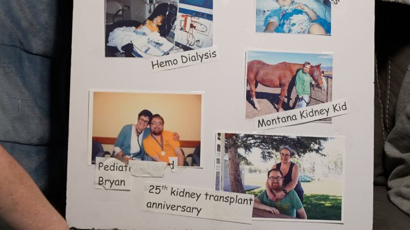 Local Belgrade family in need of a living donor kidney