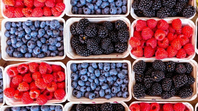 Brain aging slowed by over 2 years with unique diet
