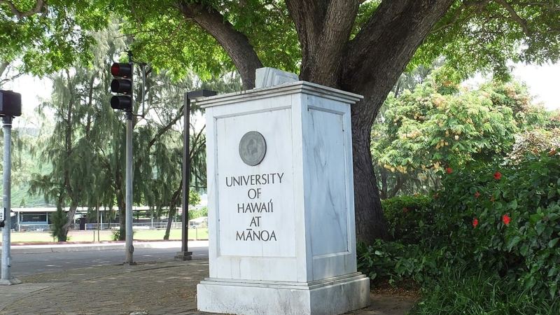 UH Mānoa Docs Tell Hawaiʻi Dads Their Health Can Make or Break Baby’s Start