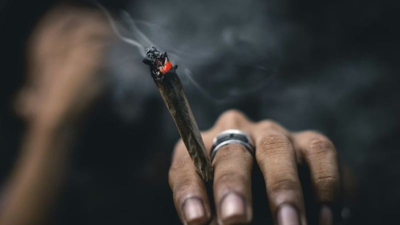 Lancet Review Finds Cannabis Unlikely To Ease Anxiety
