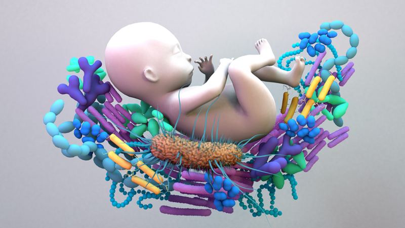 Epigenetics at Birth Links Microbiome to Neurodevelopment, Potentially ASD and ADHD