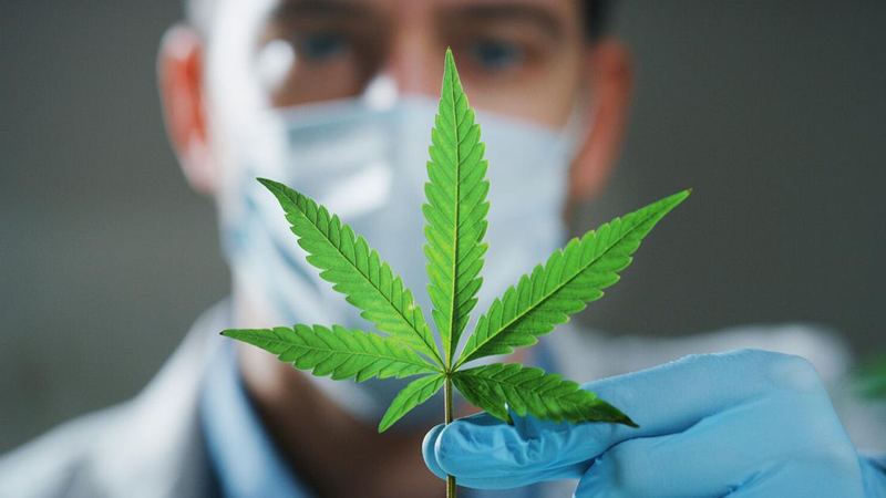 Nebraska Medical Cannabis Regs Headed To AG, Governor