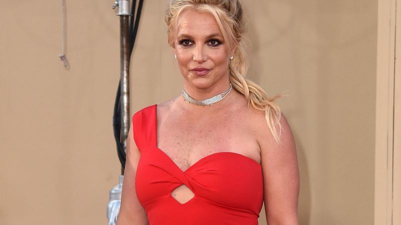 Pop star Britney Spears is back in rehab after hitting rock bottom