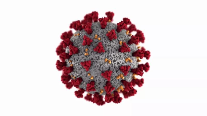 Latest Coronavirus Updates: Scripps Health Predicts End of Hospitalization Surge in Early March