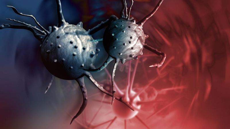 Landmark Study Links Never Marrying to Significantly Higher Cancer Risk